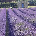 Bed & Breakfast Mas Tulipe De Soie Bevons