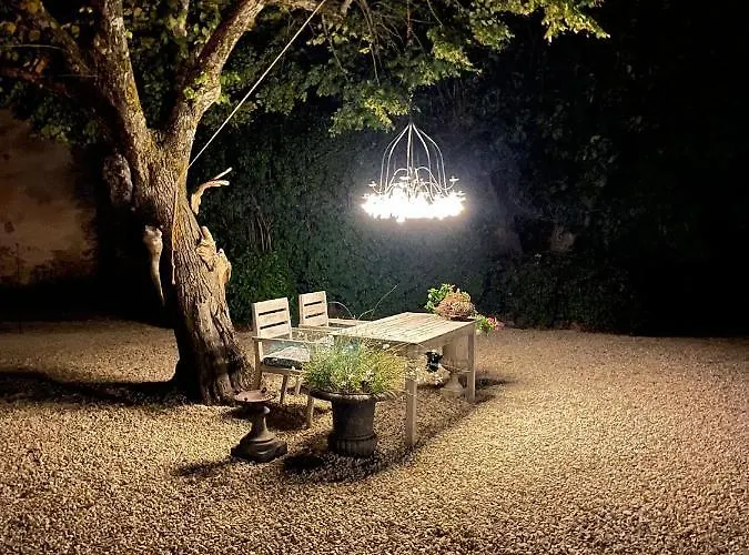 Couette-café Mas Tulipe De Soie