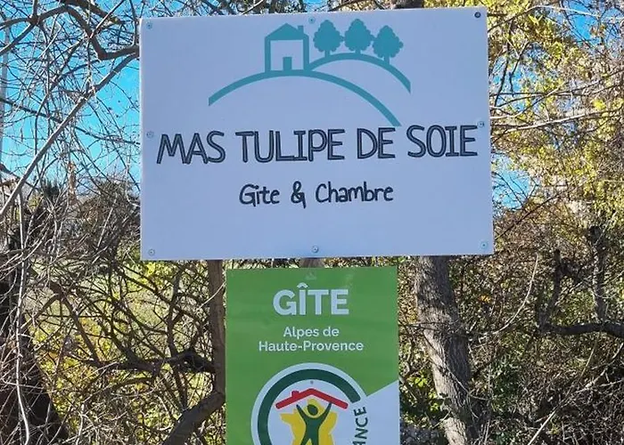 Mas Tulipe De Soie Couette-café