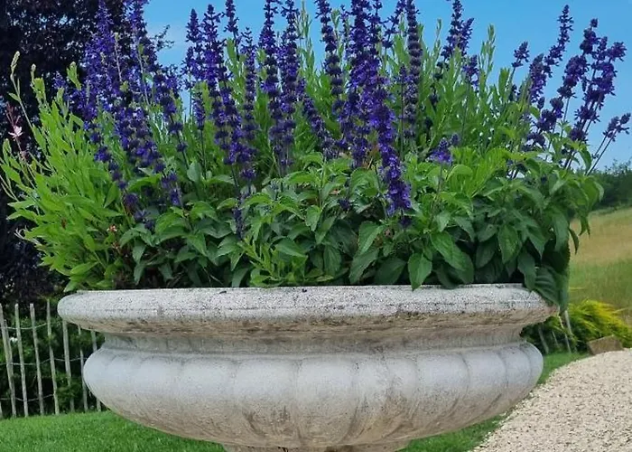 Mas Tulipe De Soie 3* Bevons