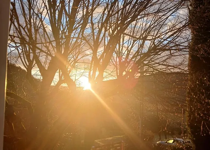 Couette-café Mas Tulipe De Soie