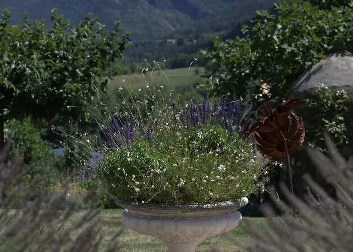 Couette-café Mas Tulipe De Soie 3*