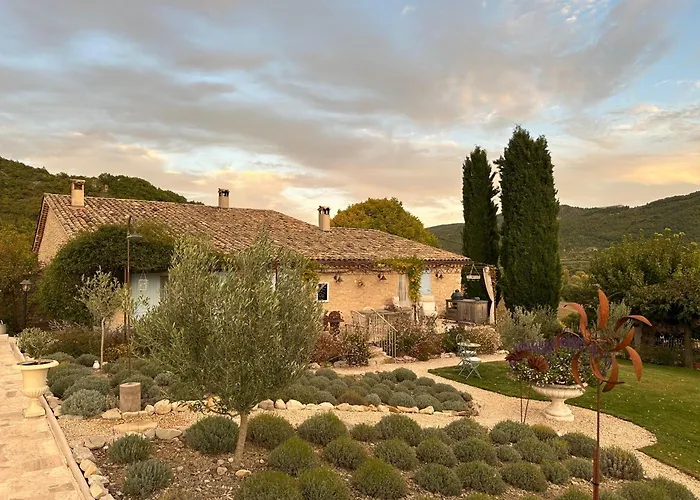 Couette-café Mas Tulipe De Soie