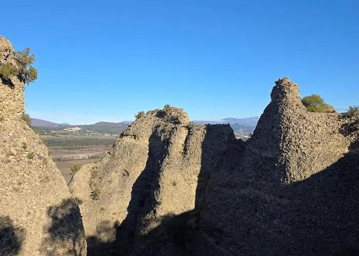 Couette-café Mas Tulipe De Soie Bevons