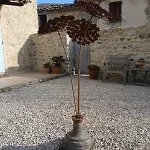 Mas Tulipe De Soie
