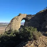 Mas Tulipe De Soie
