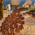 Mas Tulipe De Soie Frühstückspension 3*
