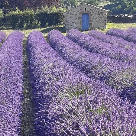Bed & Breakfast Mas Tulipe De Soie Bevons