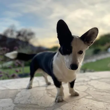 Mas Tulipe De Soie Bed & Breakfast 3*