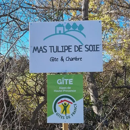 Mas Tulipe De Soie Bed & Breakfast