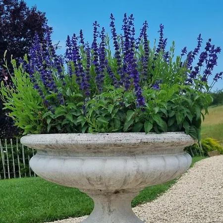 Mas Tulipe De Soie 3* Bevons