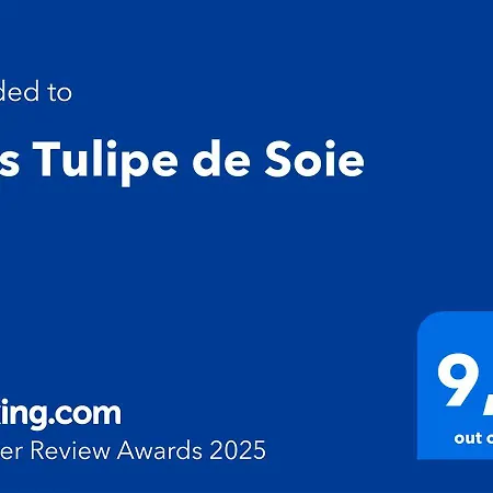 Mas Tulipe De Soie Bevons