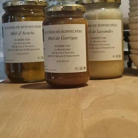 Mas Tulipe De Soie Bevons