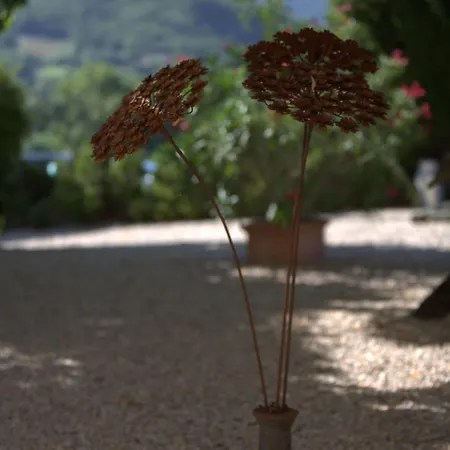 Mas Tulipe De Soie 3* Bevons