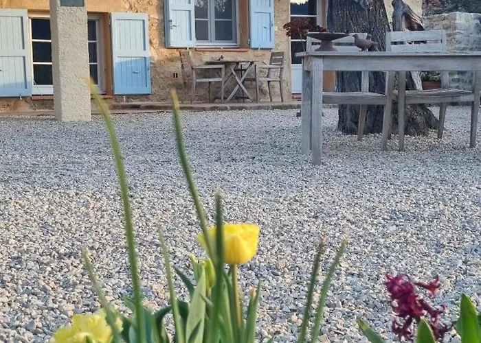 Mas Tulipe De Soie Bed & Breakfast