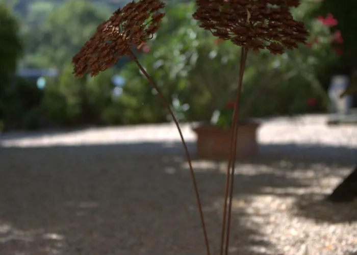 Mas Tulipe De Soie 3* Bevons